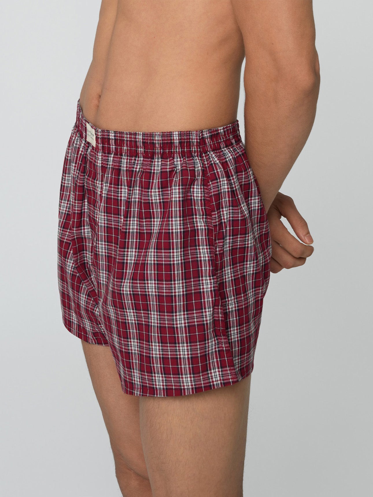 SG_01176119001_RW05_3_1_4_1290_1720.jpg;color:Red Stripe x Red Check x Red Check